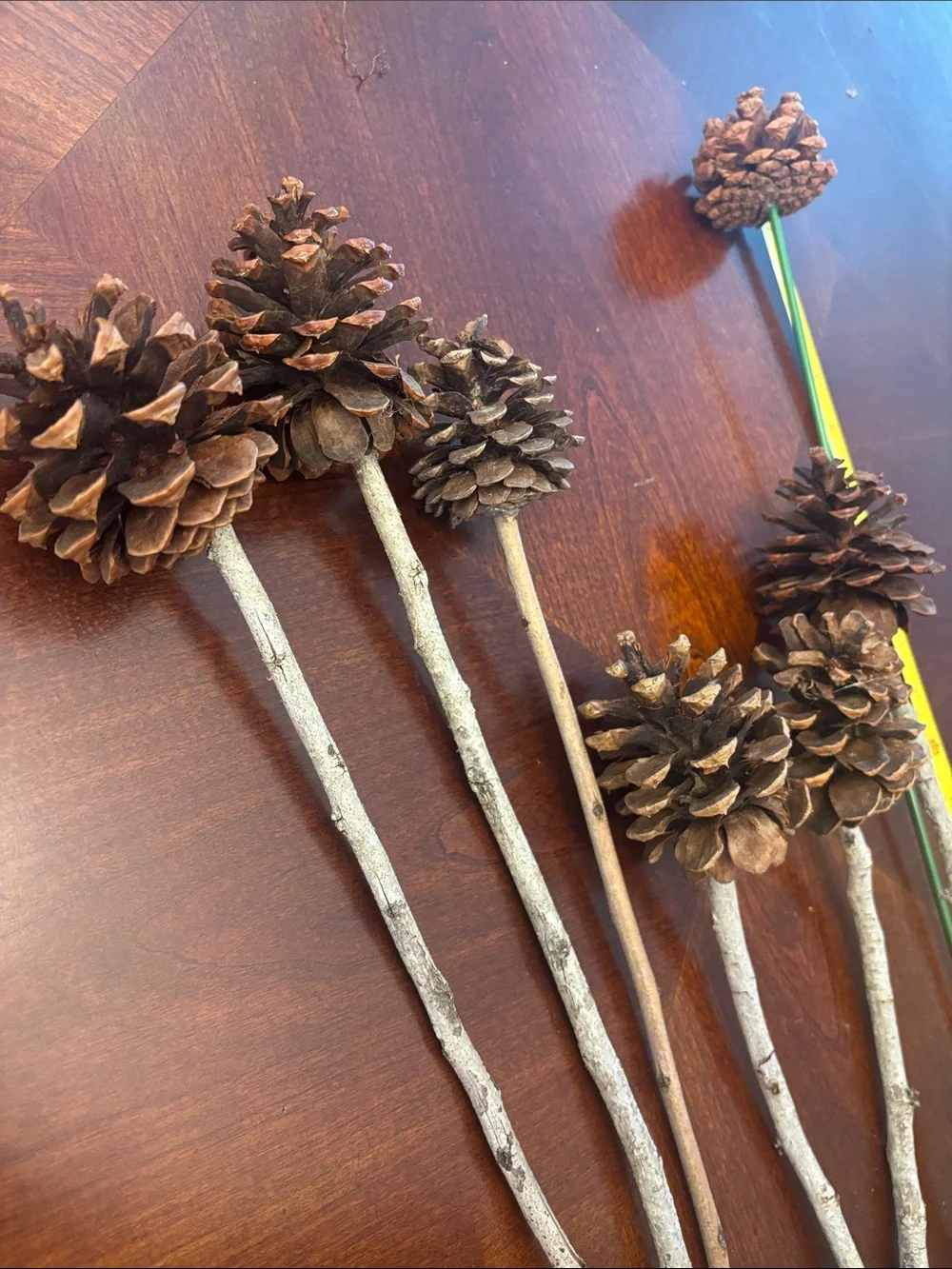 Natural Pinecone Stem Accents - Brown